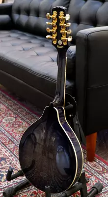 EPIPHONE A STYLE MANDOLIN - EBONY 2